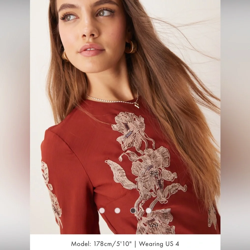 ASOS Ruffle Embellished Dresss - Picture 4 of 5